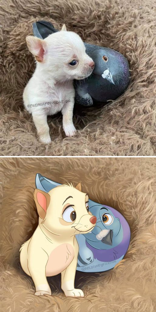 This Artist Disneyfies Peoples Photos Of Their Pets