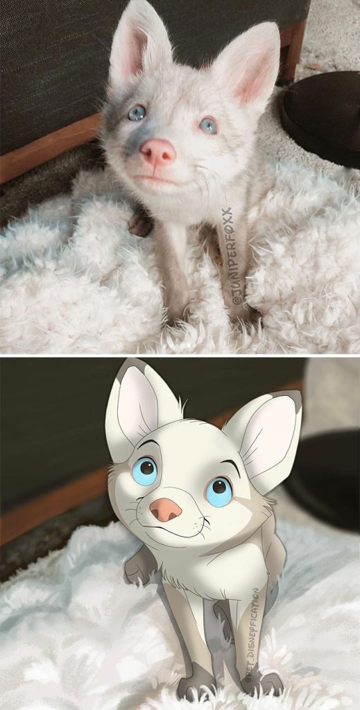This Artist Disneyfies Peoples Photos Of Their Pets
