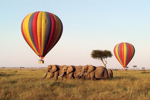 Unique African Safaris You Must Try Out