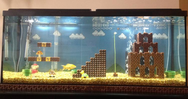 The Only Thing You Need For Your Home Is A Mario Fish Aquarium