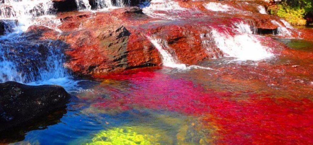 Discover Columbias Incredible Rainbow River