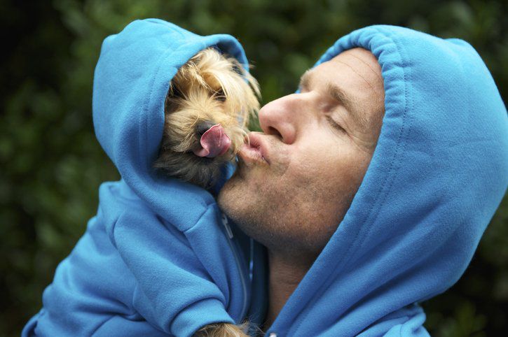 Medical Expert Explains Why You Should Never Kiss Your Dog On Its Mouth