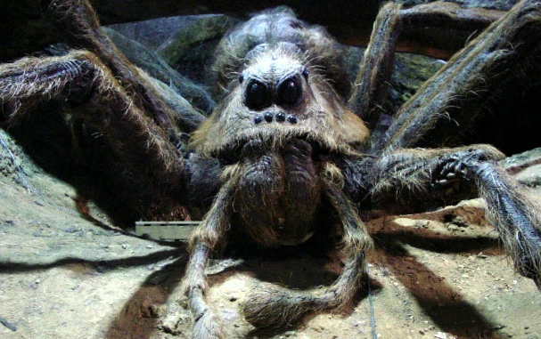 You'll Never Guess Which Fruit Aragog The Spider Is Made From In Harry Potter